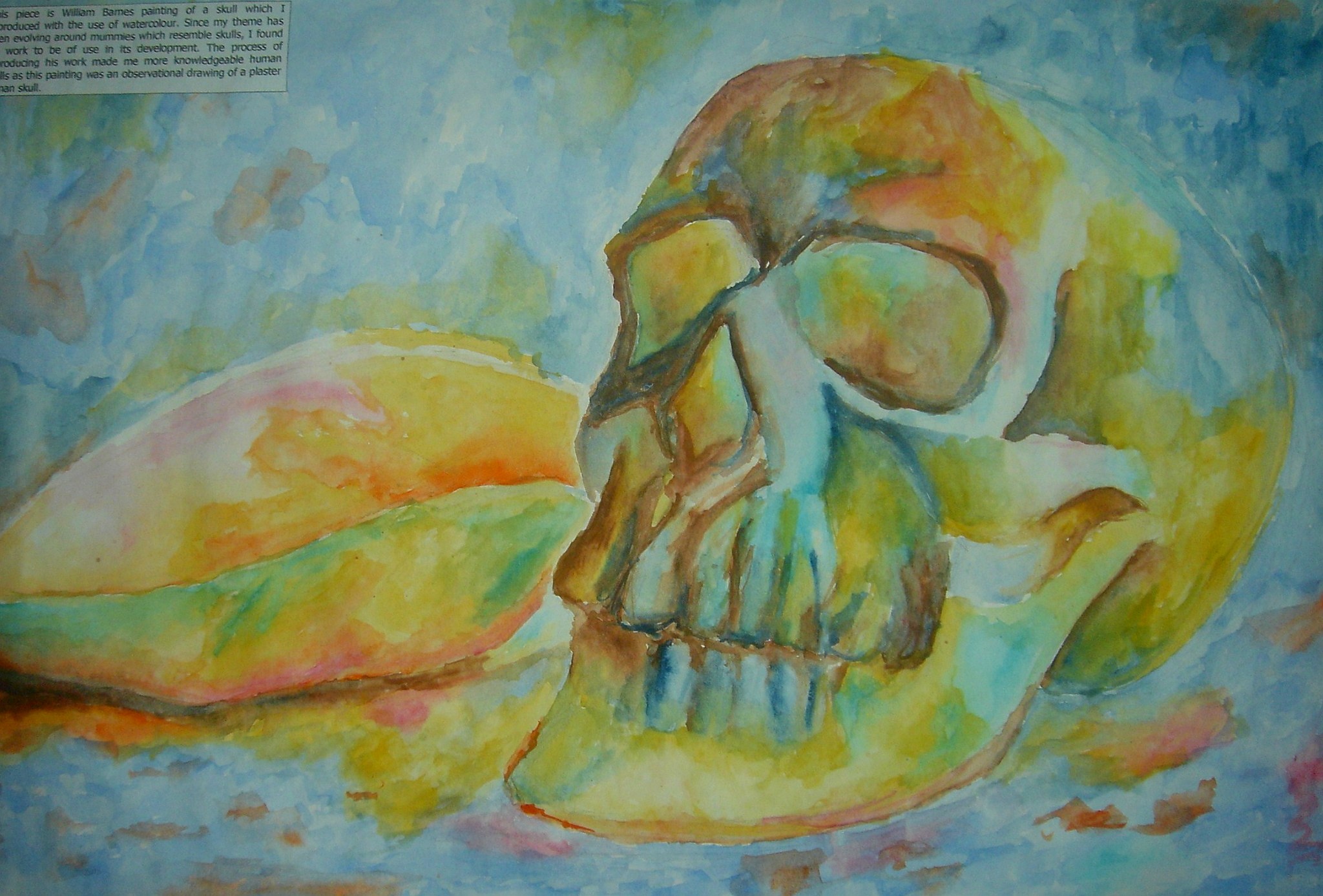 Skull watercolour from A-level sketchbook